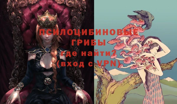 PSILOCYBIN Инсар