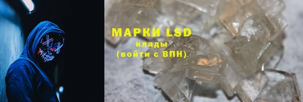 PSILOCYBIN Инсар