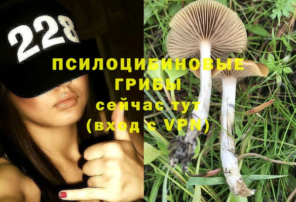 СК Иннополис