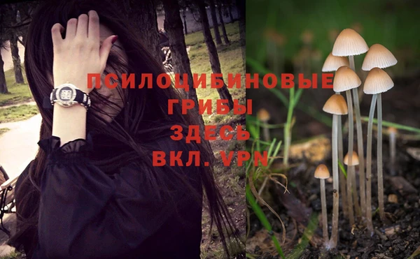 альфа пвп Инта