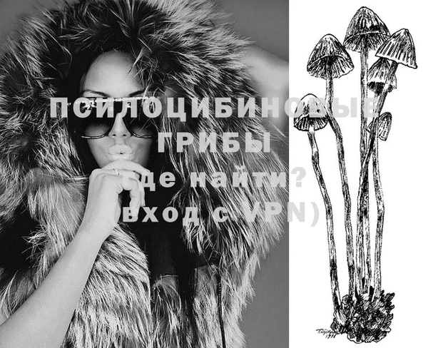 PSILOCYBIN Инсар