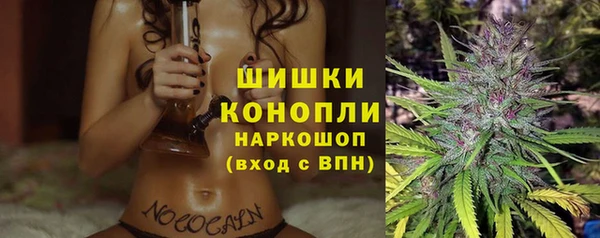 PSILOCYBIN Инсар