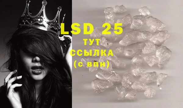 PSILOCYBIN Инсар