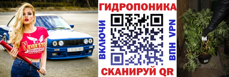 Шишки марихуана гибрид Сосенский